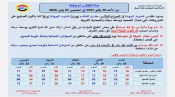 تحذير للمسافرين صباحًا.. موجة برد شديدة تضرب محافظات مصر خلال الأسبوع الجاري